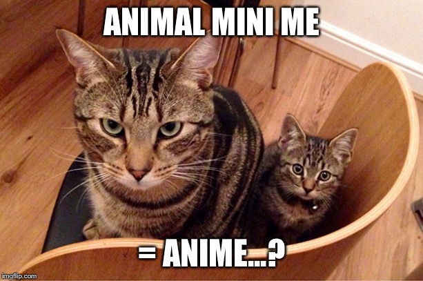 Got it! I think... | ANIMAL MINI ME; = ANIME...? | image tagged in cats,anime | made w/ Imgflip meme maker