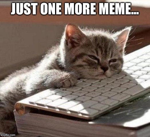 tired cat | JUST ONE MORE MEME... | image tagged in tired cat | made w/ Imgflip meme maker