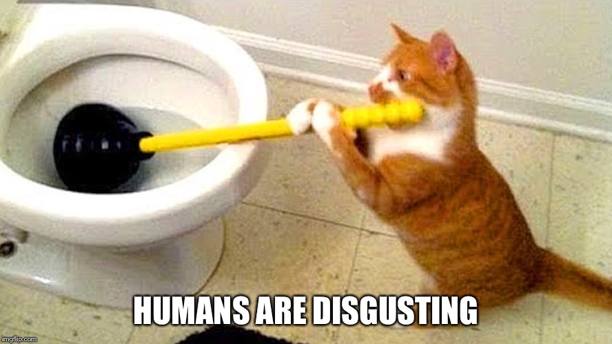 Cat Plunger | HUMANS ARE DISGUSTING | image tagged in cat plunger | made w/ Imgflip meme maker
