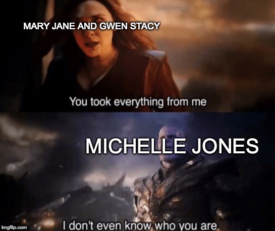 you took everything from me | MARY JANE AND GWEN STACY; MICHELLE JONES | image tagged in you took everything from me | made w/ Imgflip meme maker