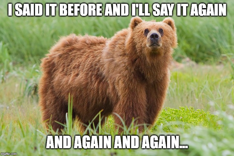 This bear's repeating... | I SAID IT BEFORE AND I'LL SAY IT AGAIN; AND AGAIN AND AGAIN... | image tagged in bear | made w/ Imgflip meme maker