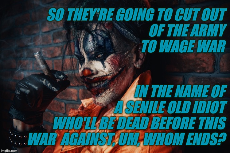 w | SO THEY'RE GOING TO CUT OUT                                         OF THE ARMY
  TO WAGE WAR IN THE NAME OF  A SENILE OLD IDIOT WHO'LL BE D | image tagged in evil bloodstained clown | made w/ Imgflip meme maker