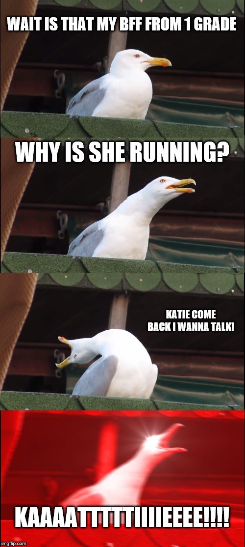 Inhaling Seagull | WAIT IS THAT MY BFF FROM 1 GRADE; WHY IS SHE RUNNING? KATIE COME BACK I WANNA TALK! KAAAATTTTTIIIIEEEE!!!! | image tagged in memes,inhaling seagull | made w/ Imgflip meme maker