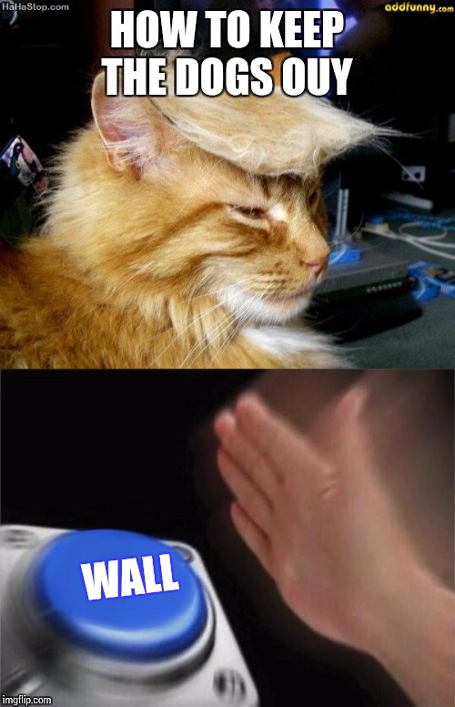 Trumps guide to stuff | HOW TO KEEP THE DOGS OUY; WALL | image tagged in donald trump cat,memes,blank nut button | made w/ Imgflip meme maker