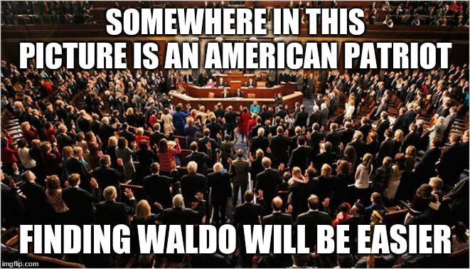 From the sadly true department | SOMEWHERE IN THIS PICTURE IS AN AMERICAN PATRIOT; FINDING WALDO WILL BE EASIER | image tagged in congress,sadly true,fire congress,vote out incumbents,term limits or jail terms,not worthy of respect | made w/ Imgflip meme maker