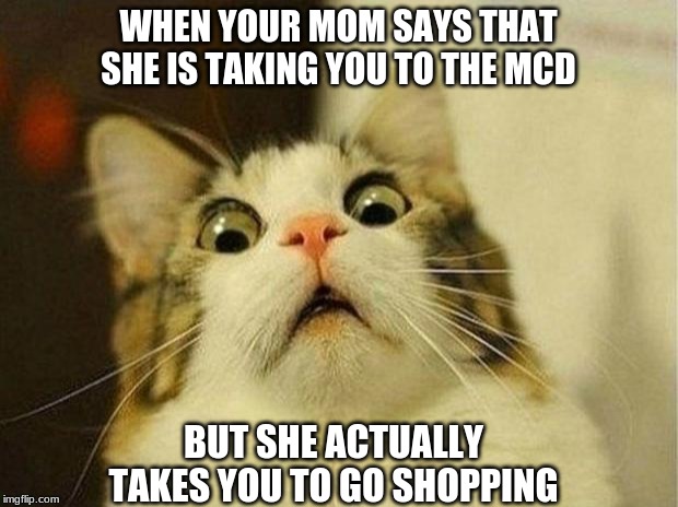why mom why!!!!! | WHEN YOUR MOM SAYS THAT SHE IS TAKING YOU TO THE MCD; BUT SHE ACTUALLY TAKES YOU TO GO SHOPPING | image tagged in memes,scared cat,mcdonalds | made w/ Imgflip meme maker