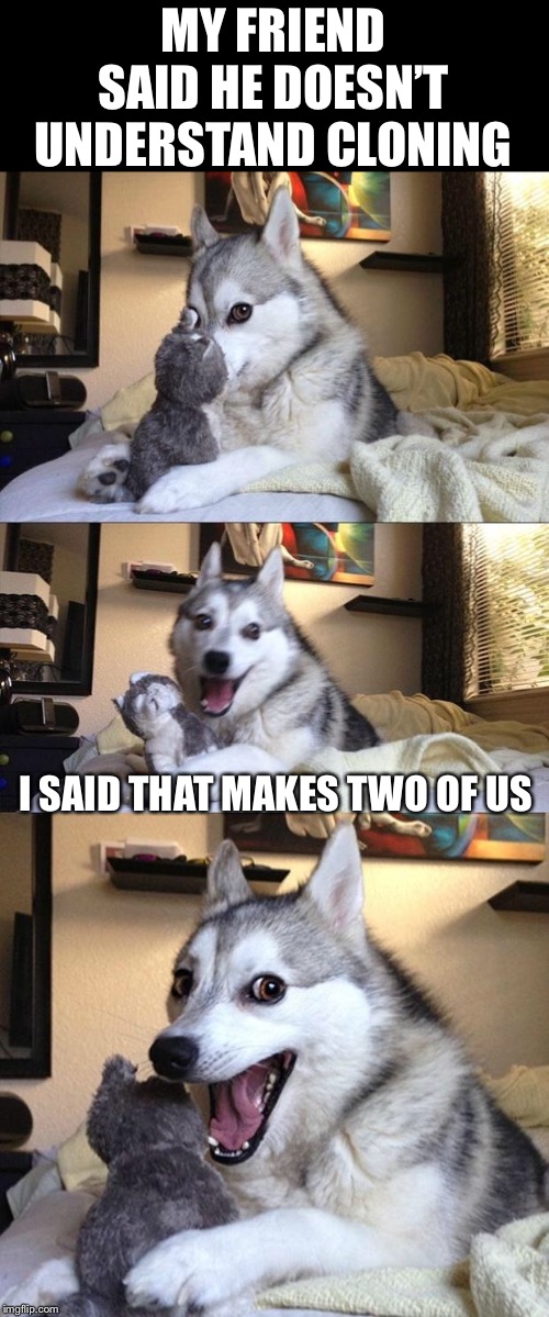 Bad Joke Dog | MY FRIEND SAID HE DOESN’T UNDERSTAND CLONING; I SAID THAT MAKES TWO OF US | image tagged in bad joke dog | made w/ Imgflip meme maker