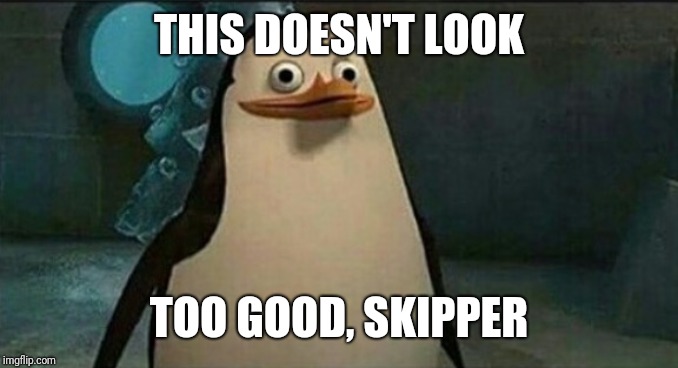 When somebody says the N-Word after the Penguins stop someone else from doing so | THIS DOESN'T LOOK TOO GOOD, SKIPPER | image tagged in confused private penguin,penguins of madagascar | made w/ Imgflip meme maker