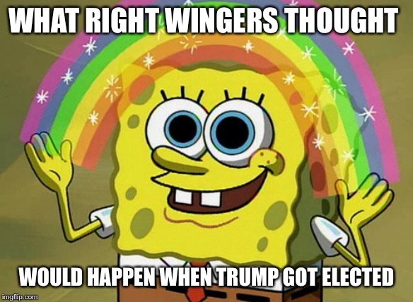 Imagination Spongebob | WHAT RIGHT WINGERS THOUGHT; WOULD HAPPEN WHEN TRUMP GOT ELECTED | image tagged in memes,imagination spongebob | made w/ Imgflip meme maker