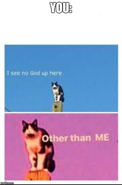 YOU: | image tagged in better i see no god cat | made w/ Imgflip meme maker