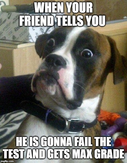 Surprised Dog | WHEN YOUR FRIEND TELLS YOU; HE IS GONNA FAIL THE TEST AND GETS MAX GRADE | image tagged in surprised dog | made w/ Imgflip meme maker