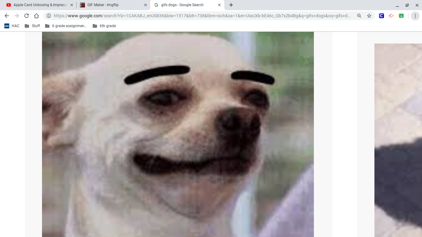 Thick Eyebrows dog Blank Meme Template