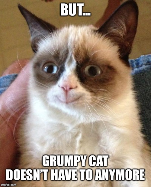 Grumpy Cat Happy Meme | BUT... GRUMPY CAT DOESN’T HAVE TO ANYMORE | image tagged in memes,grumpy cat happy,grumpy cat | made w/ Imgflip meme maker