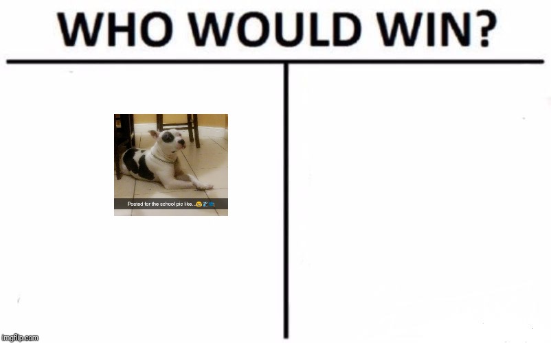 Who Would Win? | image tagged in memes,who would win | made w/ Imgflip meme maker