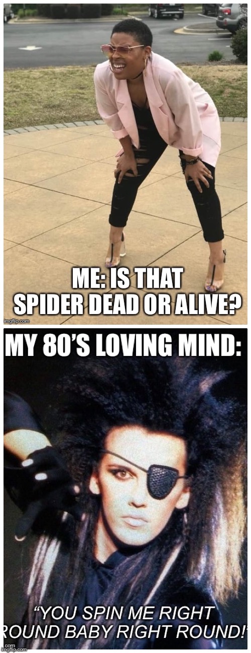 image tagged in spider,1980s | made w/ Imgflip meme maker