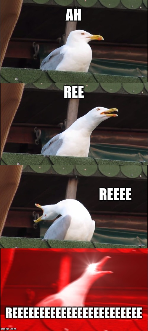 Inhaling Seagull | AH; REE; REEEE; REEEEEEEEEEEEEEEEEEEEEEEE | image tagged in memes,inhaling seagull | made w/ Imgflip meme maker