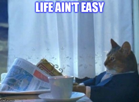 I Should Buy A Boat Cat | LIFE AIN'T EASY | image tagged in memes,i should buy a boat cat | made w/ Imgflip meme maker