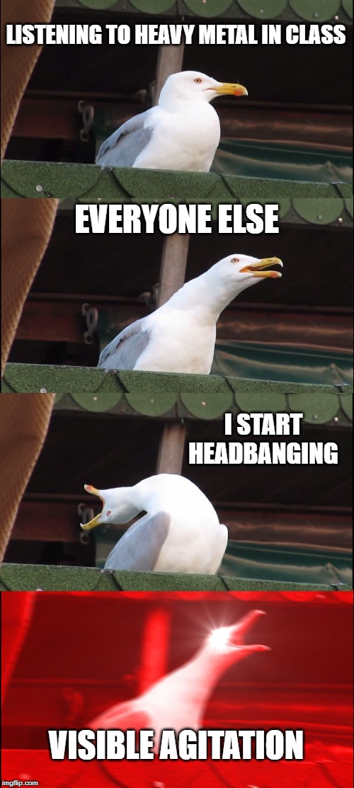 Inhaling Seagull | LISTENING TO HEAVY METAL IN CLASS; EVERYONE ELSE; I START HEADBANGING; VISIBLE AGITATION | image tagged in memes,inhaling seagull | made w/ Imgflip meme maker