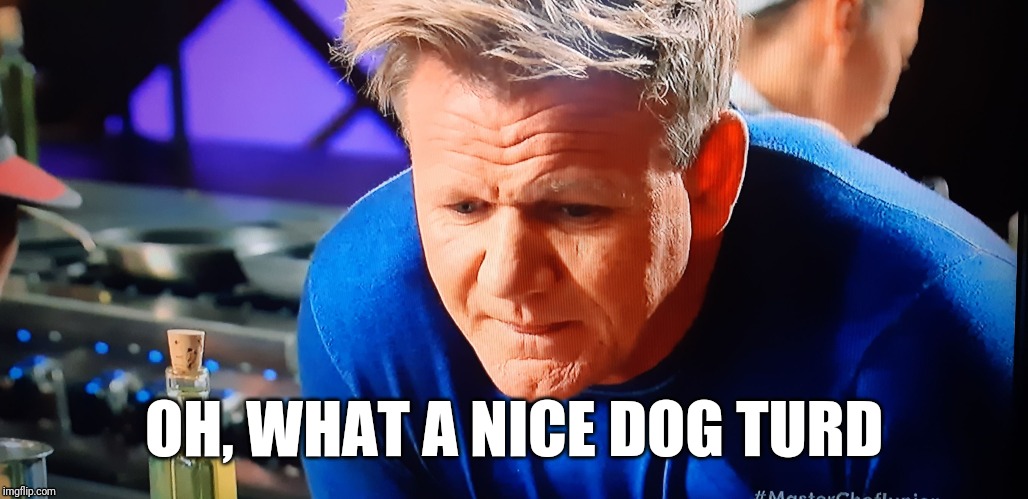 Gordon Ramsey | OH, WHAT A NICE DOG TURD | image tagged in gordon ramsey | made w/ Imgflip meme maker