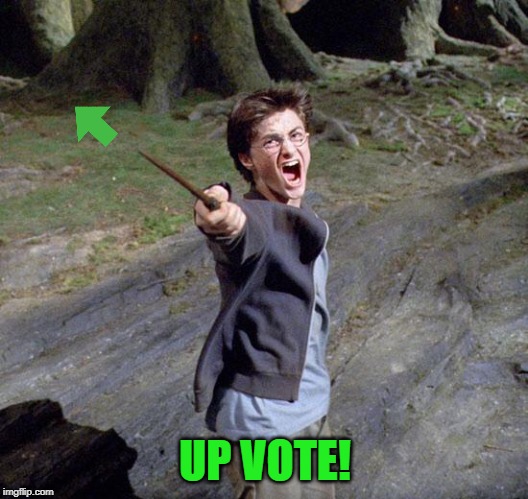 Harry potter | UP VOTE! | image tagged in harry potter | made w/ Imgflip meme maker