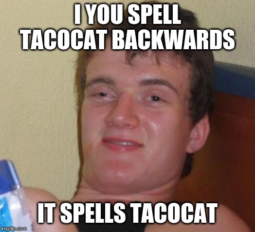 10 Guy | I YOU SPELL TACOCAT BACKWARDS; IT SPELLS TACOCAT | image tagged in memes,10 guy,cats | made w/ Imgflip meme maker