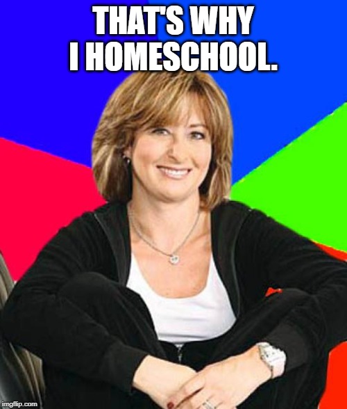 Sheltering Suburban Mom Meme | THAT'S WHY I HOMESCHOOL. | image tagged in memes,sheltering suburban mom | made w/ Imgflip meme maker