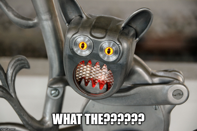 WHAT THE?????? | made w/ Imgflip meme maker