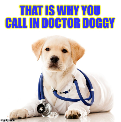 THAT IS WHY YOU CALL IN DOCTOR DOGGY | made w/ Imgflip meme maker