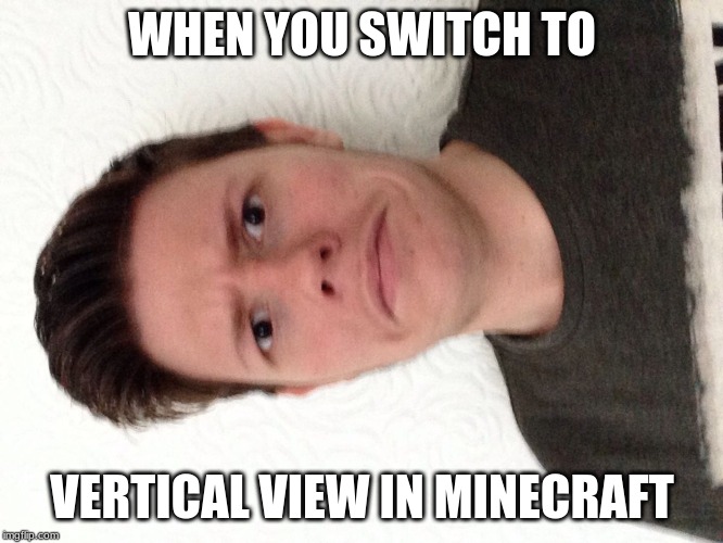 A random meme.... | WHEN YOU SWITCH TO; VERTICAL VIEW IN MINECRAFT | image tagged in a random meme | made w/ Imgflip meme maker
