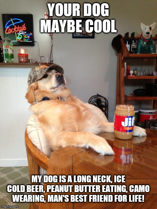 redneck dog | YOUR DOG MAYBE COOL; MY DOG IS A LONG NECK, ICE COLD BEER, PEANUT BUTTER EATING, CAMO WEARING, MAN'S BEST FRIEND FOR LIFE! | image tagged in redneck dog | made w/ Imgflip meme maker