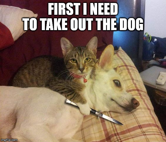 I did not mean that way cat ... take him outside. | FIRST I NEED TO TAKE OUT THE DOG | image tagged in cat knife dog | made w/ Imgflip meme maker