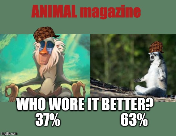 Not to be outdone by People magazine, the Animal editor included this pic for fashion week | ANIMAL magazine; WHO WORE IT BETTER? 37%; 63% | image tagged in zen lemur,fashion week,who would win,people magazine,who wore it better | made w/ Imgflip meme maker