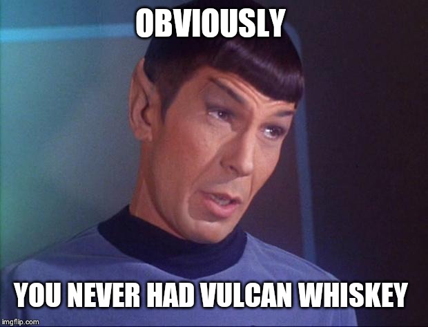 Spock | OBVIOUSLY YOU NEVER HAD VULCAN WHISKEY | image tagged in spock | made w/ Imgflip meme maker