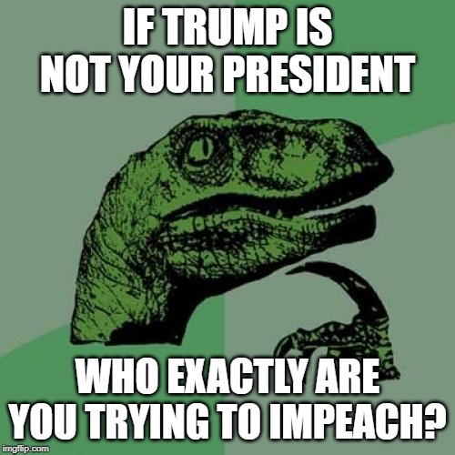 Philosoraptor | IF TRUMP IS NOT YOUR PRESIDENT; WHO EXACTLY ARE YOU TRYING TO IMPEACH? | image tagged in memes,philosoraptor | made w/ Imgflip meme maker