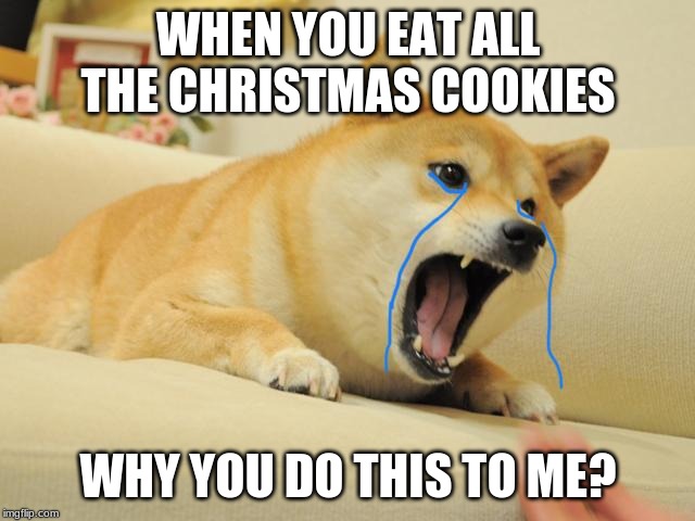 Crying doge | WHEN YOU EAT ALL THE CHRISTMAS COOKIES; WHY YOU DO THIS TO ME? | image tagged in crying doge | made w/ Imgflip meme maker