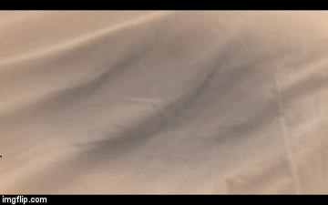 image tagged in gifs | made w/ Imgflip video-to-gif maker