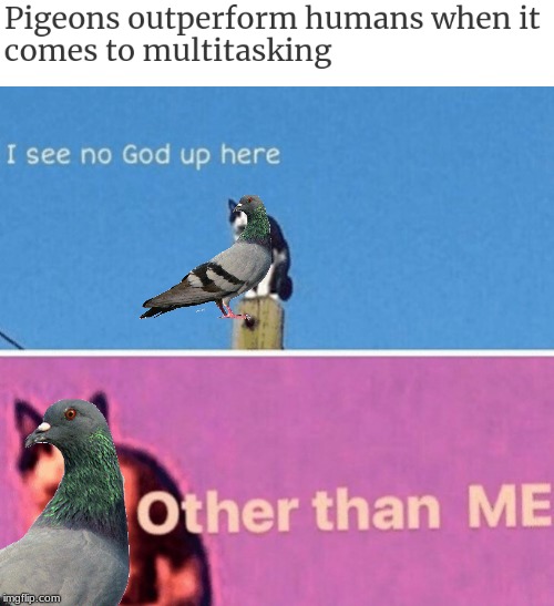 bruh | image tagged in no god up here cat | made w/ Imgflip meme maker