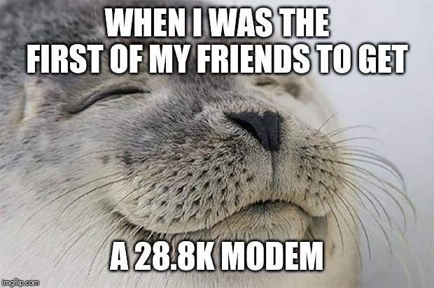 Satisfied Seal Meme | WHEN I WAS THE FIRST OF MY FRIENDS TO GET A 28.8K MODEM | image tagged in memes,satisfied seal | made w/ Imgflip meme maker