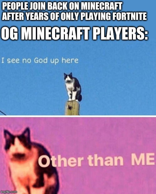 Hail pole cat | PEOPLE JOIN BACK ON MINECRAFT AFTER YEARS OF ONLY PLAYING FORTNITE; OG MINECRAFT PLAYERS: | image tagged in hail pole cat | made w/ Imgflip meme maker
