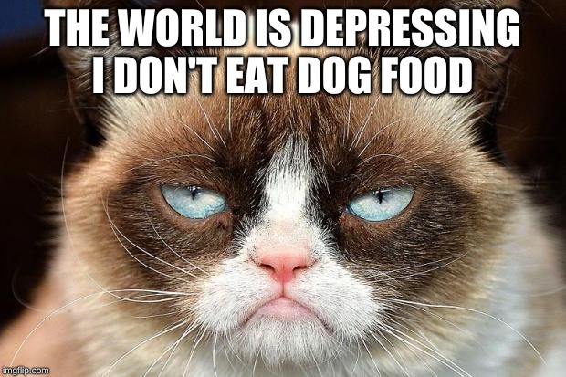 Grumpy Cat Not Amused Meme | THE WORLD IS DEPRESSING

I DON'T EAT DOG FOOD | image tagged in memes,grumpy cat not amused,grumpy cat | made w/ Imgflip meme maker