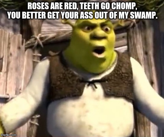 nasokhnf | ROSES ARE RED, TEETH GO CHOMP, YOU BETTER GET YOUR ASS OUT OF MY SWAMP. | image tagged in nasokhnf | made w/ Imgflip meme maker