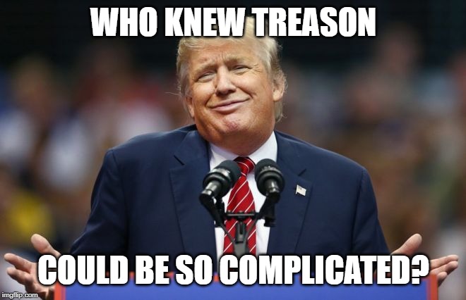 Constipated Trump | WHO KNEW TREASON; COULD BE SO COMPLICATED? | image tagged in constipated trump | made w/ Imgflip meme maker