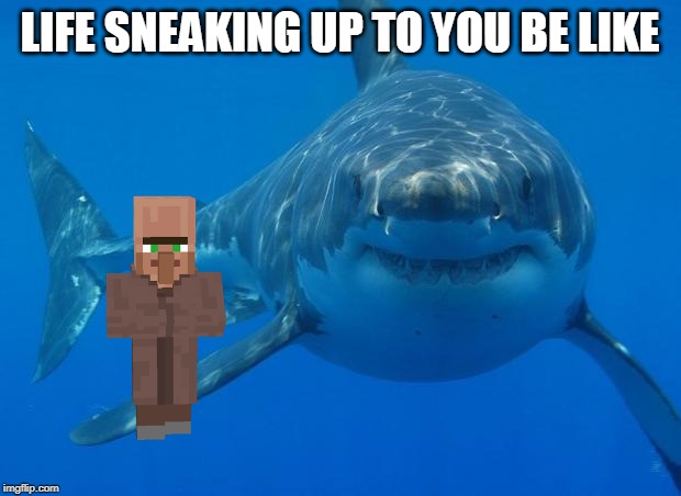 Straight White Shark | LIFE SNEAKING UP TO YOU BE LIKE | image tagged in straight white shark | made w/ Imgflip meme maker