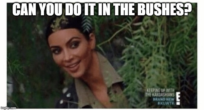 Kim Kardashian  | CAN YOU DO IT IN THE BUSHES? | image tagged in kim kardashian | made w/ Imgflip meme maker