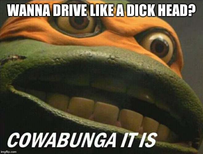 Cowabunga it is | WANNA DRIVE LIKE A DICK HEAD? | image tagged in cowabunga it is | made w/ Imgflip meme maker
