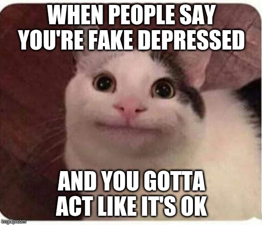 Polite Cat | WHEN PEOPLE SAY YOU'RE FAKE DEPRESSED; AND YOU GOTTA ACT LIKE IT'S OK | image tagged in polite cat | made w/ Imgflip meme maker