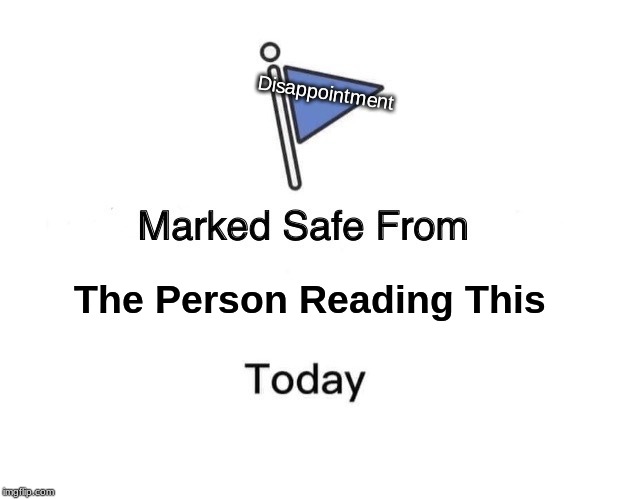 Marked Safe From Meme | Disappointment; The Person Reading This | image tagged in memes,marked safe from | made w/ Imgflip meme maker