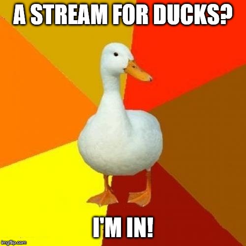 Tech Impaired Duck | A STREAM FOR DUCKS? I'M IN! | image tagged in memes,tech impaired duck | made w/ Imgflip meme maker