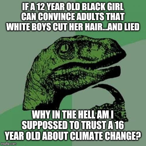 Philosoraptor | IF A 12 YEAR OLD BLACK GIRL CAN CONVINCE ADULTS THAT WHITE BOYS CUT HER HAIR...AND LIED; WHY IN THE HELL AM I SUPPOSSED TO TRUST A 16 YEAR OLD ABOUT CLIMATE CHANGE? | image tagged in memes,philosoraptor | made w/ Imgflip meme maker
