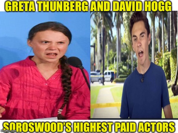 Maybe they will be cast in a romantic comedy next. | GRETA THUNBERG AND DAVID HOGG; SOROSWOOD’S HIGHEST PAID ACTORS | image tagged in greta thunberg,david hogg,george soros | made w/ Imgflip meme maker